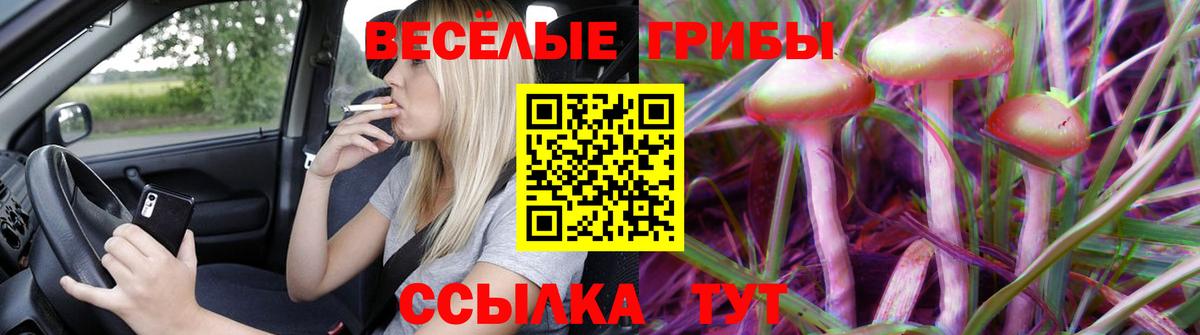 Галлюциногенные грибы мухоморы  Вход с VPN  Спасск-Дальний 