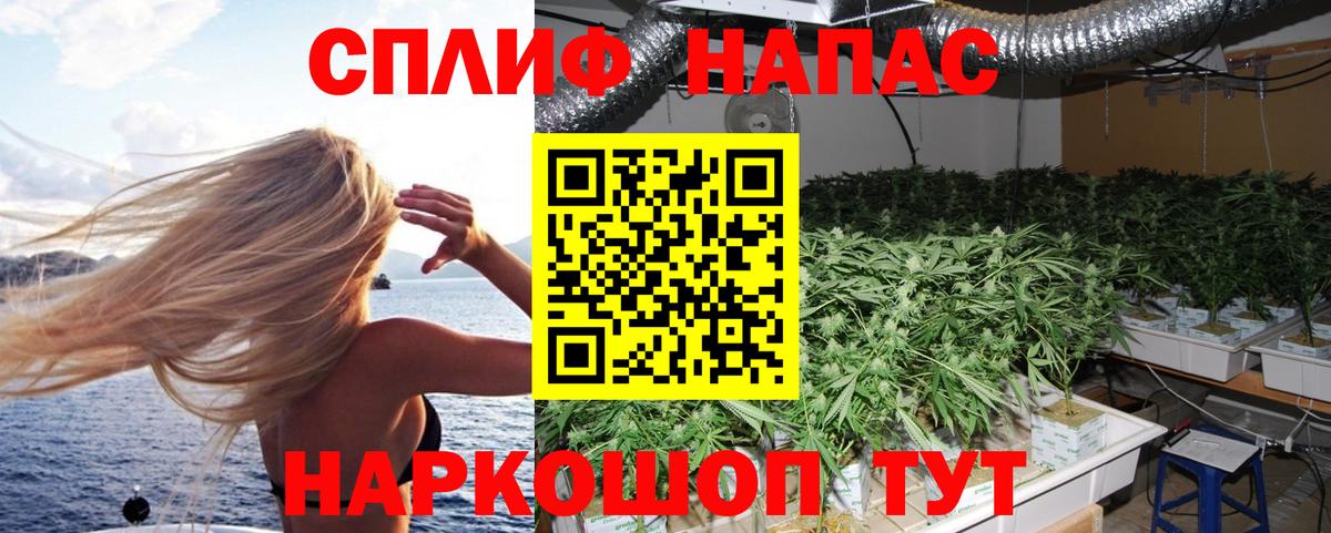 Бошки Шишки Ganja  Конопля Bruce Banner  Вход с VPN  Бошки Шишки THC 21%  Спасск-Дальний 